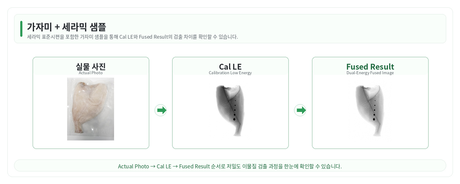 가자미 샘플